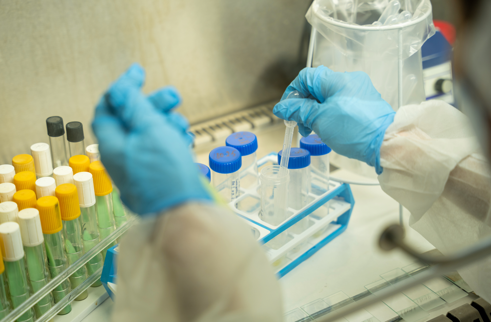 Laboratoire